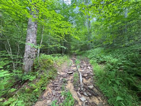 0 Laurel Run Road Montrose WV 26283