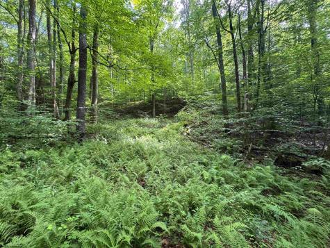 0 Laurel Run Road Montrose WV 26283