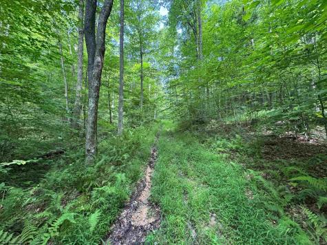 0 Laurel Run Road Montrose WV 26283