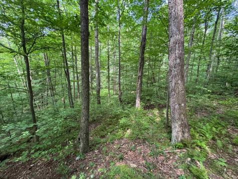 0 Laurel Run Road Montrose WV 26283