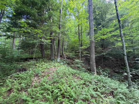 0 Laurel Run Road Montrose WV 26283
