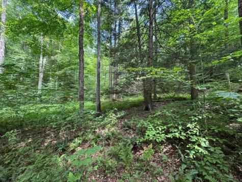 0 Laurel Run Road Montrose WV 26283