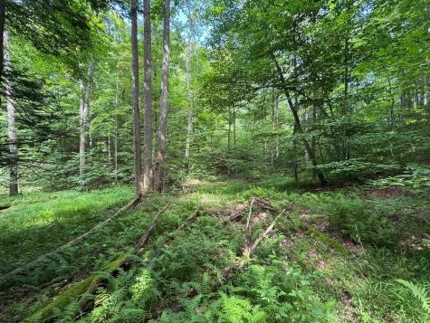 0 Laurel Run Road Montrose WV 26283