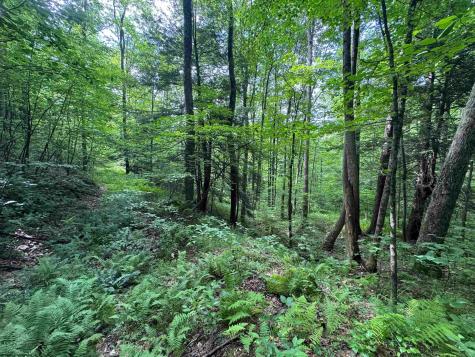 0 Laurel Run Road Montrose WV 26283