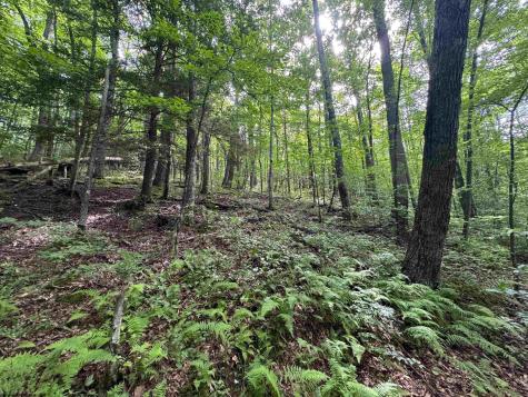 0 Laurel Run Road Montrose WV 26283