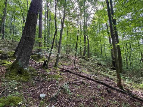 0 Laurel Run Road Montrose WV 26283