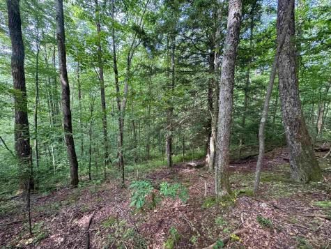 0 Laurel Run Road Montrose WV 26283