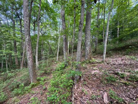 0 Laurel Run Road Montrose WV 26283