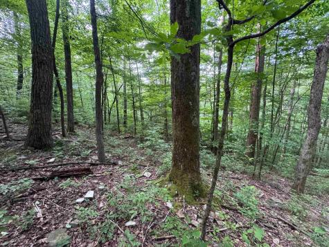 0 Laurel Run Road Montrose WV 26283