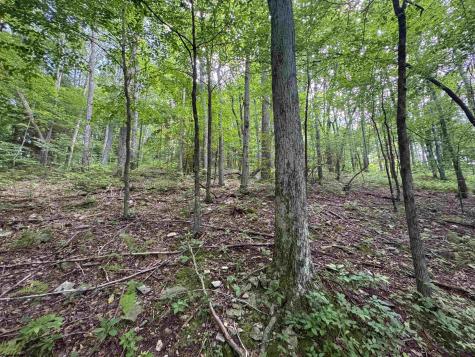 0 Laurel Run Road Montrose WV 26283