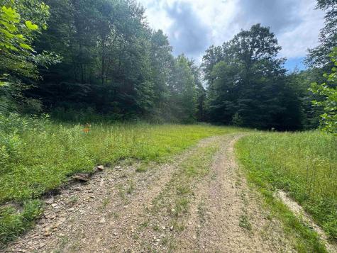 0 Laurel Run Road Montrose WV 26283