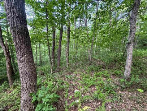 0 Laurel Run Road Montrose WV 26283