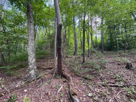 0 Laurel Run Road Montrose WV 26283