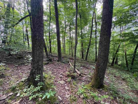 0 Laurel Run Road Montrose WV 26283
