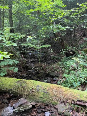 0 Laurel Run Road Montrose WV 26283