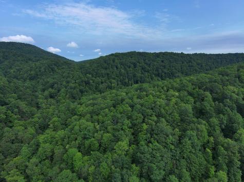 0 Laurel Run Road Montrose WV 26283