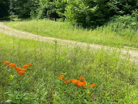 0 Laurel Run Road Montrose WV 26283