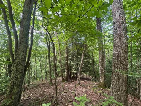 0 Laurel Run Road Montrose WV 26283