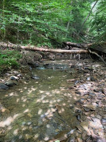 0 Laurel Run Road Montrose WV 26283