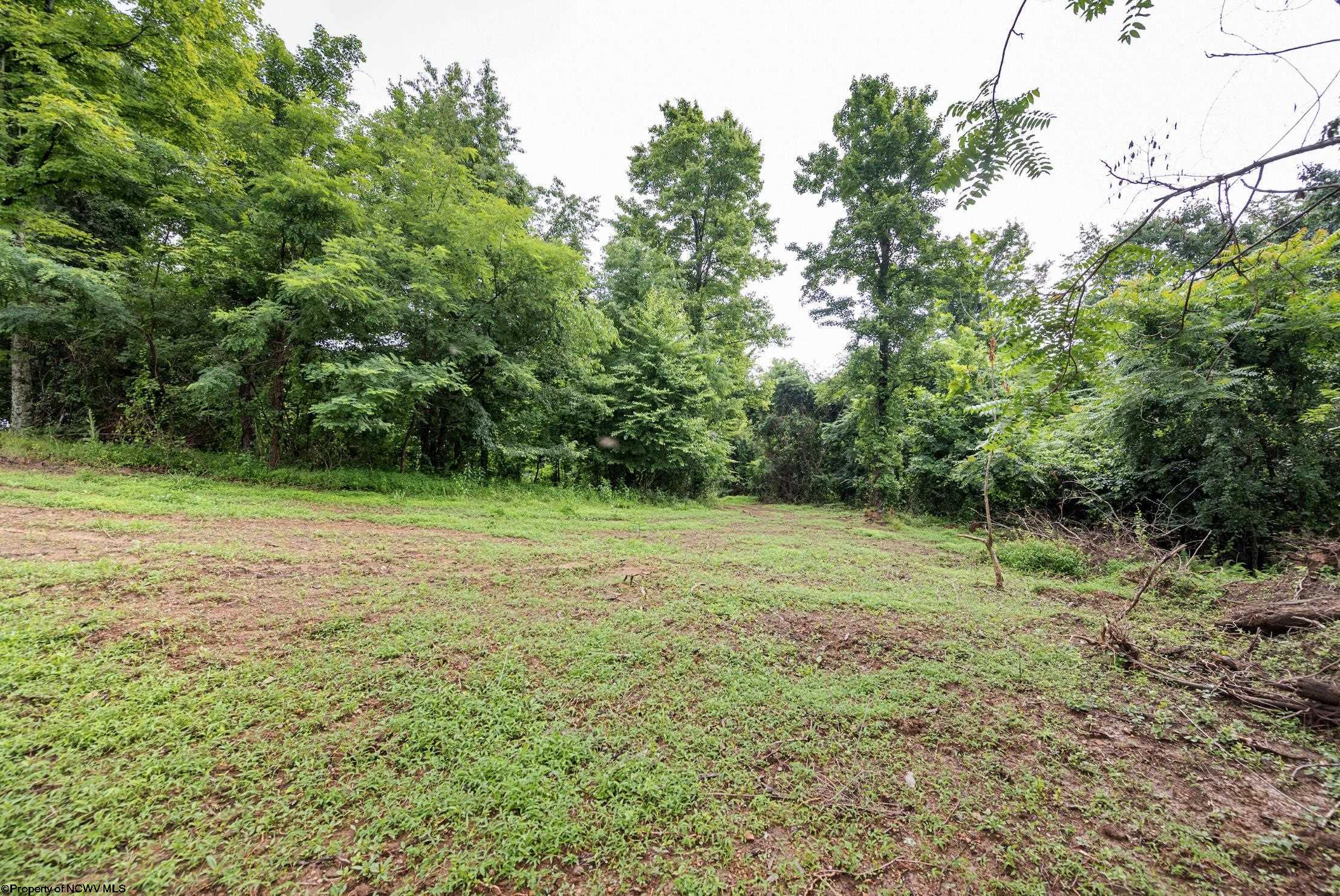 3 Burnt Cabin Road Fairmont WV 26554