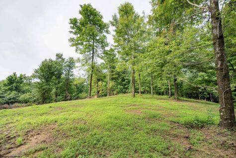 3 Burnt Cabin Road Fairmont WV 26554