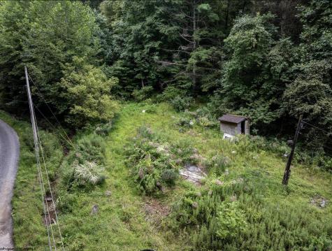 786 Wilson Run Road Pine Grove WV 26419
