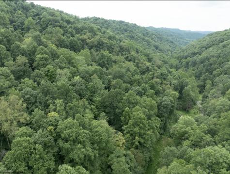786 Wilson Run Road Pine Grove WV 26419