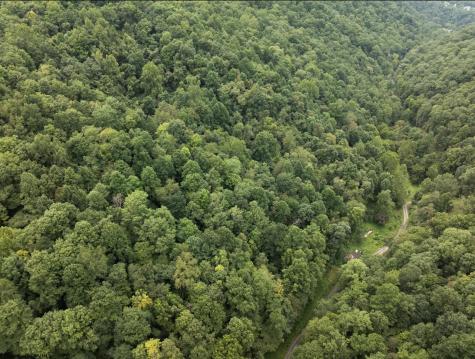 786 Wilson Run Road Pine Grove WV 26419