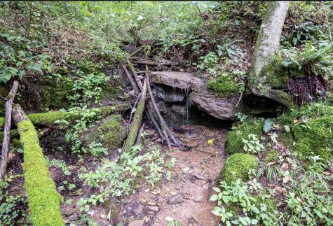 786 Wilson Run Road Pine Grove WV 26419