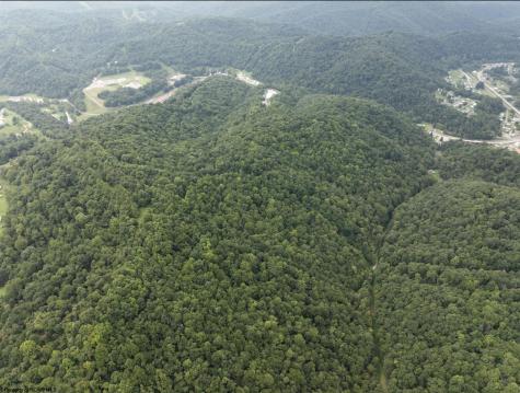786 Wilson Run Road Pine Grove WV 26419