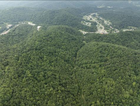 786 Wilson Run Road Pine Grove WV 26419