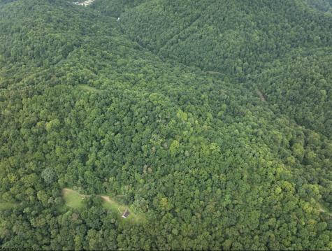 786 Wilson Run Road Pine Grove WV 26419