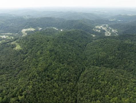 786 Wilson Run Road Pine Grove WV 26419