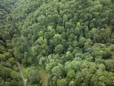 786 Wilson Run Road Pine Grove WV 26419