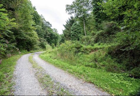 786 Wilson Run Road Pine Grove WV 26419