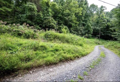786 Wilson Run Road Pine Grove WV 26419