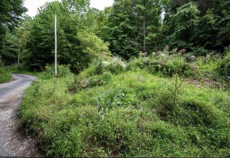 786 Wilson Run Road Pine Grove WV 26419