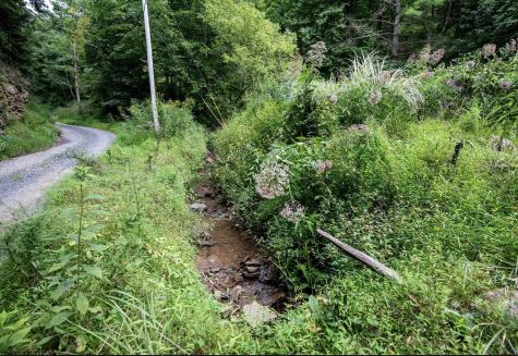 786 Wilson Run Road Pine Grove WV 26419