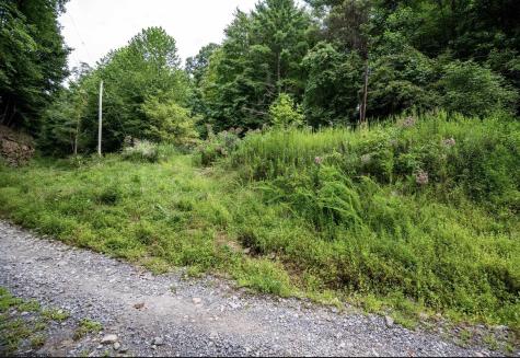 786 Wilson Run Road Pine Grove WV 26419