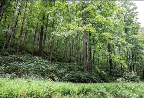 786 Wilson Run Road Pine Grove WV 26419