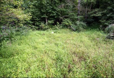 786 Wilson Run Road Pine Grove WV 26419