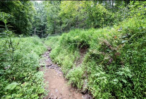 786 Wilson Run Road Pine Grove WV 26419