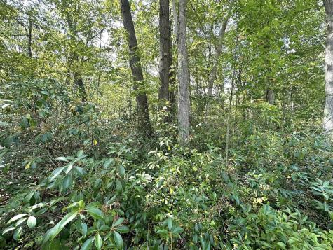 70 Pine Drive Terra Alta WV 26764