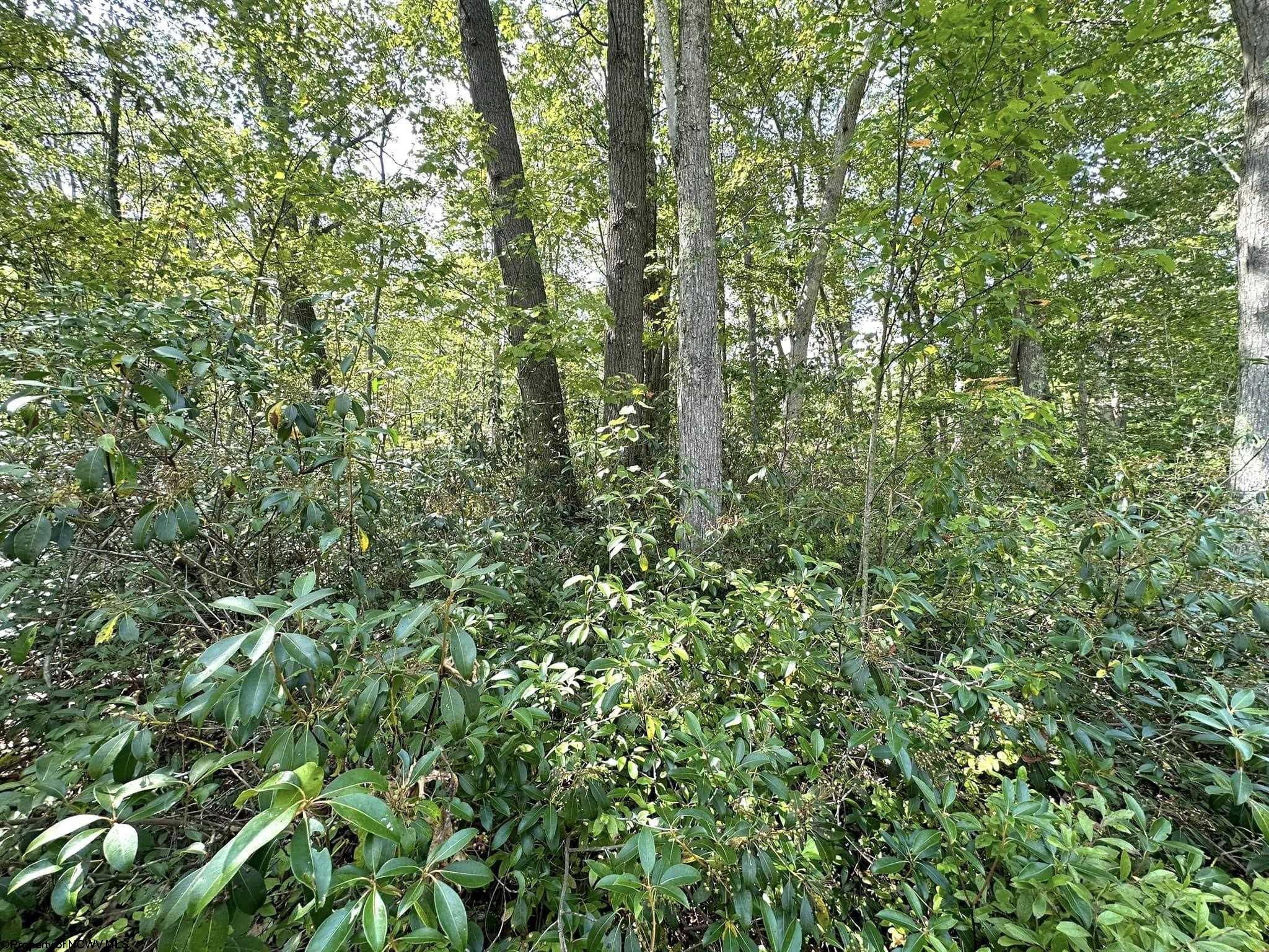 70 Pine Drive Terra Alta WV 26764