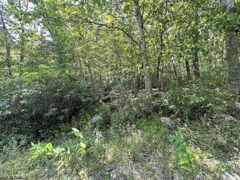 70 Pine Drive Terra Alta WV 26764