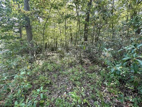 70 Pine Drive Terra Alta WV 26764