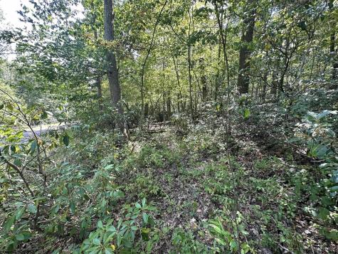 70 Pine Drive Terra Alta WV 26764