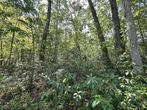 70 Pine Drive Terra Alta WV 26764
