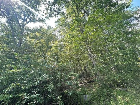 70 Pine Drive Terra Alta WV 26764