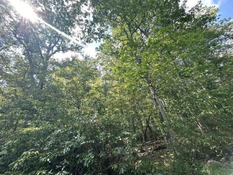 70 Pine Drive Terra Alta WV 26764
